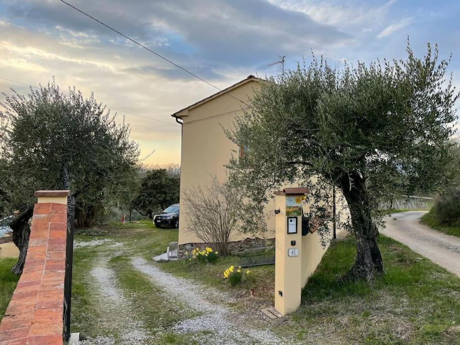 Art Apartment Agriturismo Il Vecchio Merlo Larciano Экстерьер фото